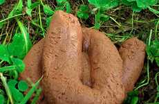 Dog Dung Soaps