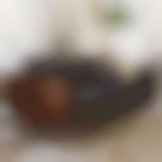 Top 100 Furniture Ideas in October