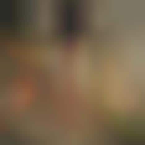 Apothecary Chilli Bottles