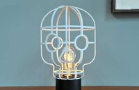 Wireframe Skull Lighting Image 2