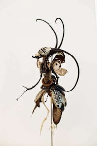 Insect Fairy Sculptures Image 5