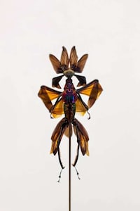 Insect Fairy Sculptures Image 7