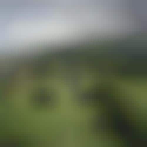 Isolated Shepherd Photography