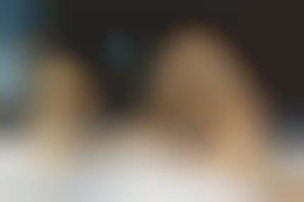 3D Pet Portraits