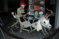 Skeleton-Inspired Transit Image 4