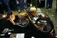 Skeleton-Inspired Transit Image 5