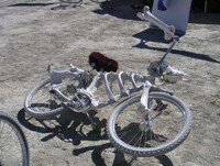 Skeleton-Inspired Transit Image 7
