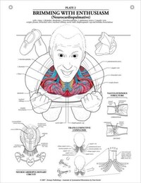 Anatomical Emotions Image 2