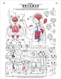 Anatomical Emotions Image 3