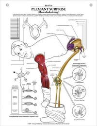 Anatomical Emotions Image 4