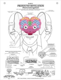 Anatomical Emotions Image 5