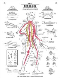 Anatomical Emotions Image 6