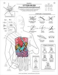 Anatomical Emotions Image 8