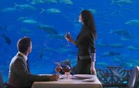 $25,000 Hotel Rooms Image 3