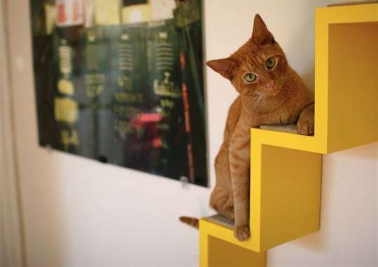 Integrated Feline Furniture