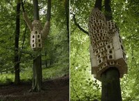 Avian Apartments Image 2