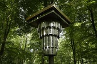 Avian Apartments Image 3