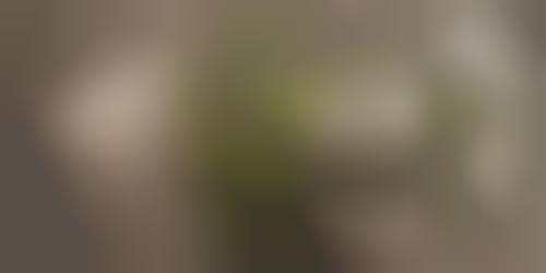 Hair-Inspired Architecture