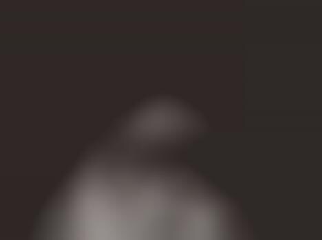 Intimate Animal Portraits