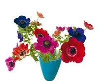 Blooming Window Art Image 3