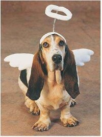 Doggie Dress-Up Image 3