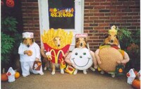 Doggie Dress-Up Image 4