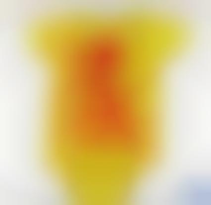 political baby onesies