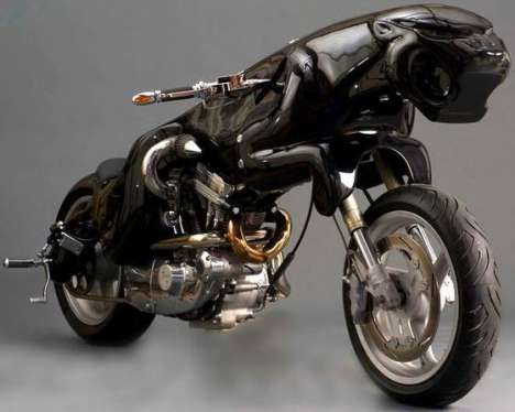 Branded Big Cat Bikes