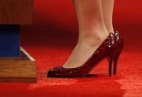 Political Style Shoe-Ins Image 3