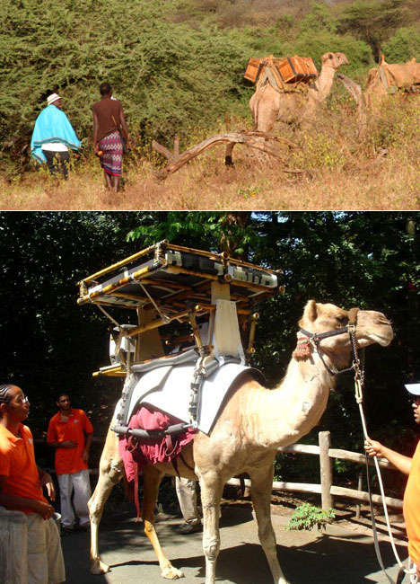 Eco-Friendly Mobile Coolers
