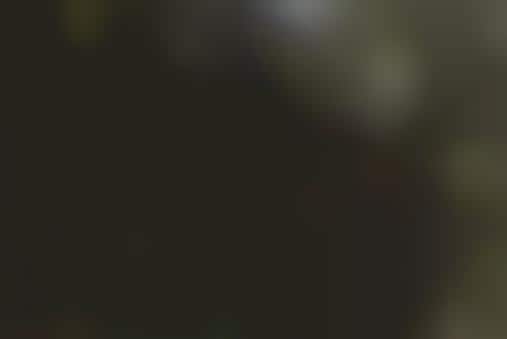 Architecture Nestled In Nature Tokyo S Dancing Trees Singing Birds