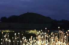 Illuminated Landscapes