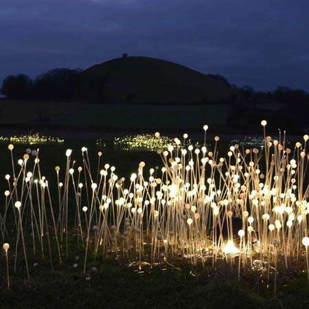 Illuminated Landscapes