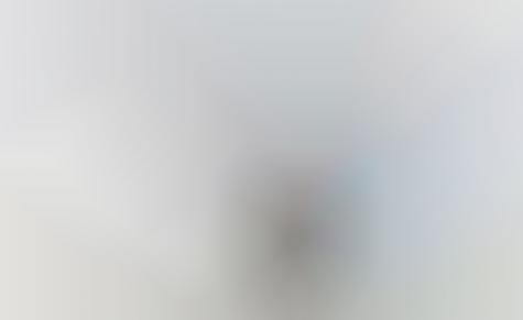 Discreet Web Surfing