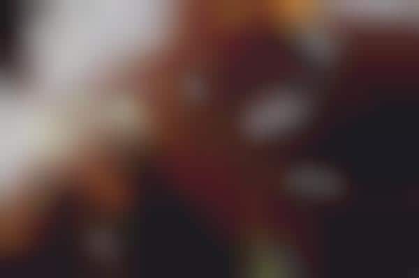 Bounty Hunter Photography