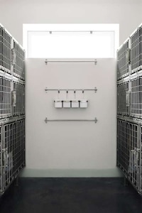 Inviting Pet Hospitals Image 7