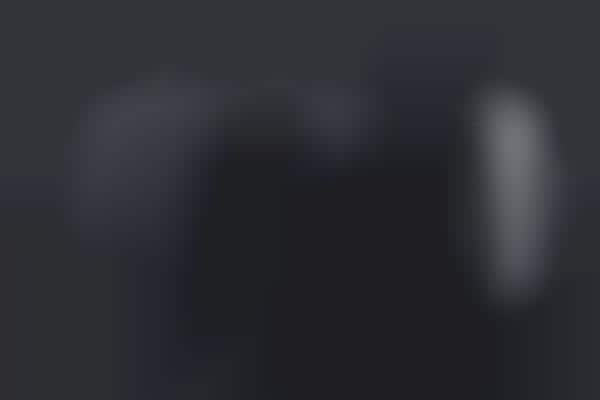 Sleek Smartphone Cameras
