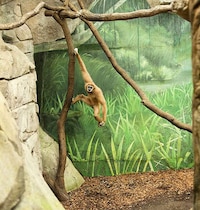 Unnatural Zoo Environment Photos Image 7