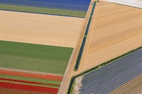 Aerial Tulip Captures Image 3