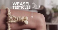 Historical Contraceptive Videos Image 2
