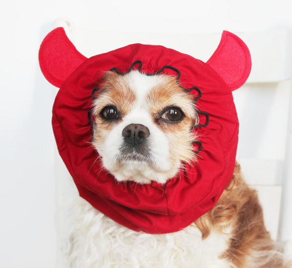 43 Halloween Dog Costume Ideas