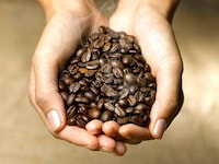 Moonlit Coffee Branding Image 2