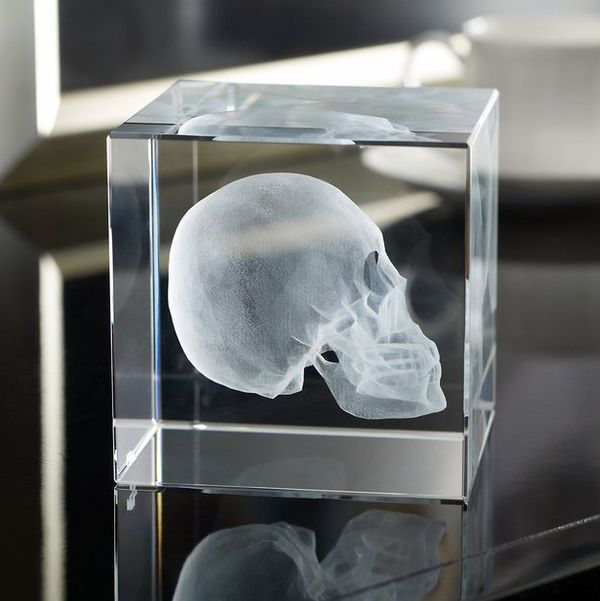 40 Skull Decor Examples