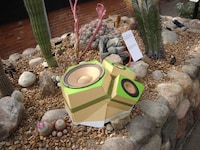 Cactus-Copying Sound Systems Image 2