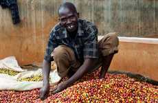 Energy-Generating Waste