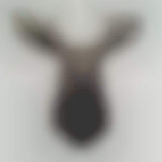 Two-Dimensional Faux Taxidermy