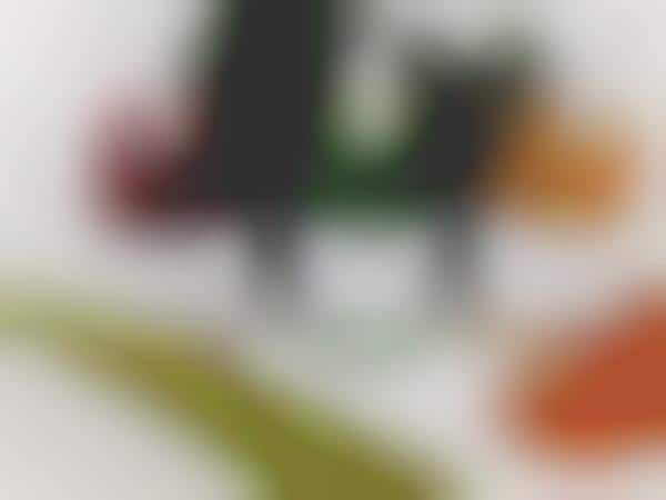 Couture Juice Branding