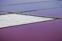 Purple Bay Photography Image 3