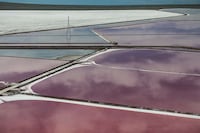Purple Bay Photography Image 4