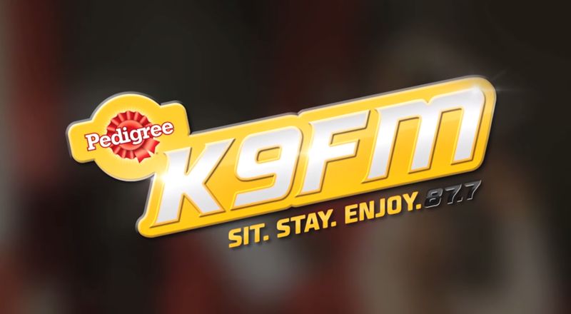 Dog Radio Stations